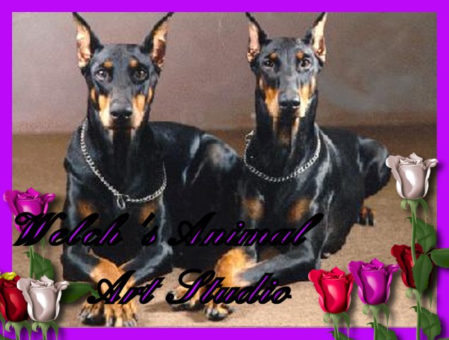 Dobes from the Prancing Pony Kennels and Stables